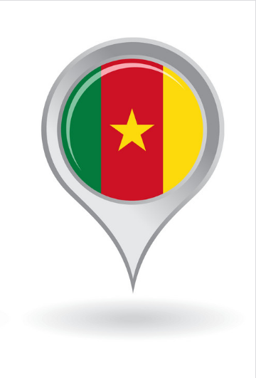 Cameroon Website Design