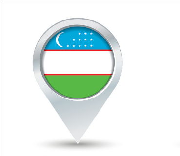 Uzbekistan Website Design