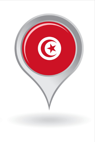 Tunisia Website Design