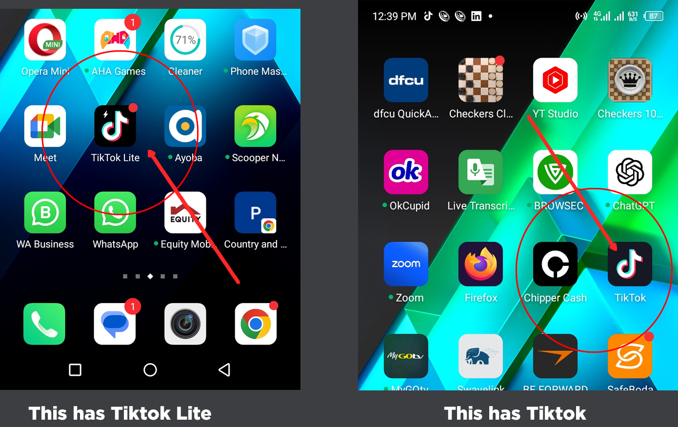 Tiktok and Tiktok lite App
